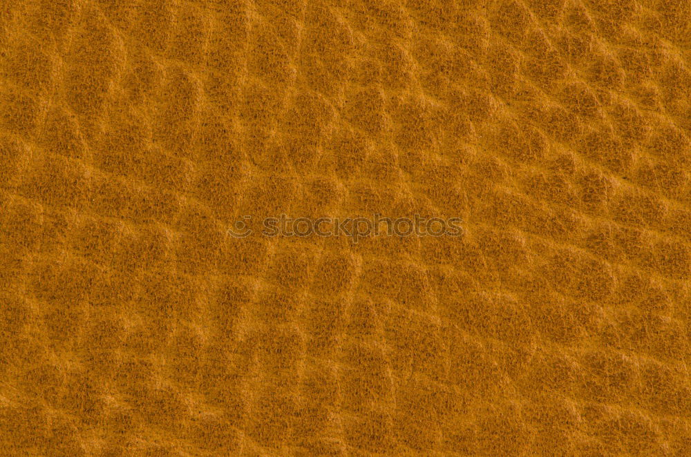 Similar – Image, Stock Photo Where there’s planing.
