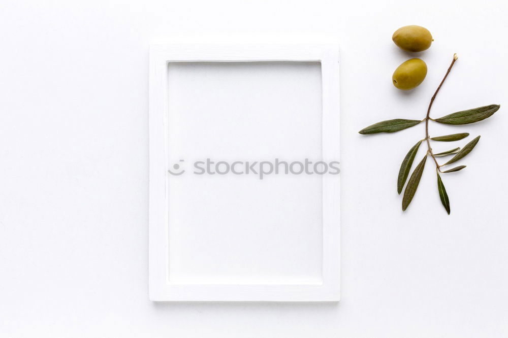 rustic table setting in natural forest style