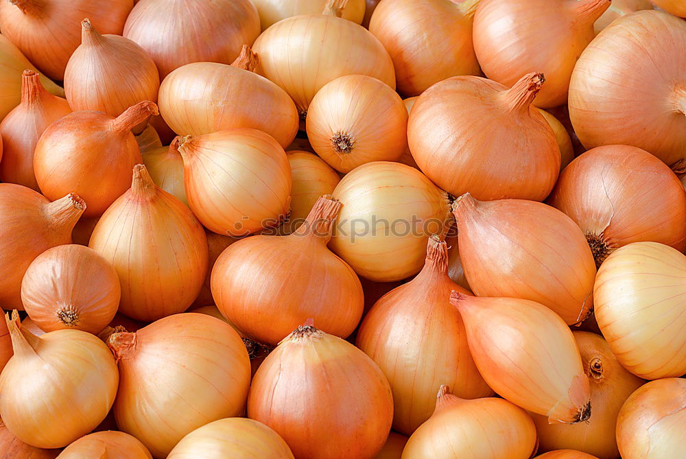 Similar – Image, Stock Photo Onions & Ginger Food