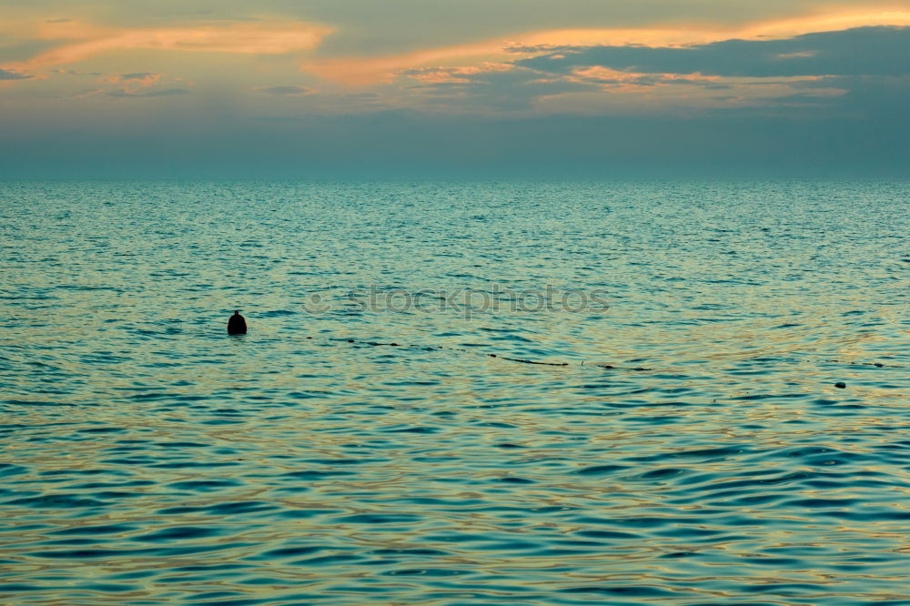 Image, Stock Photo low tide Joy Happy