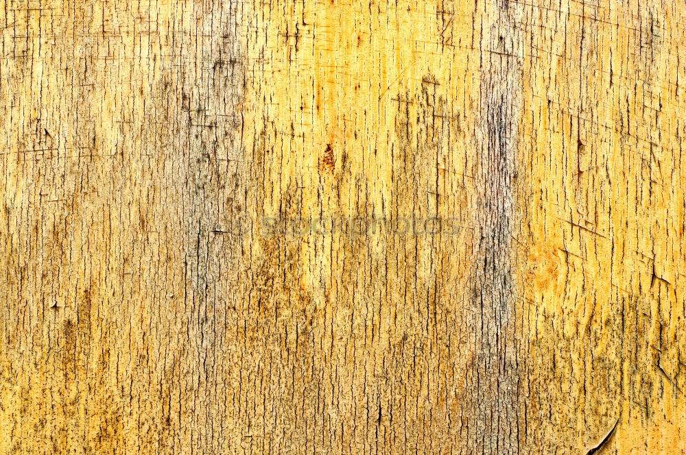 Similar – Tree cross section 1 Wood