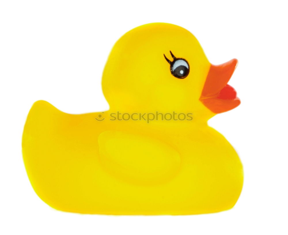 Similar – squeaky duck Squeak duck