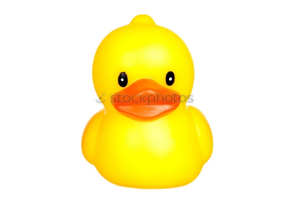 Similar – squeaky duck Squeak duck