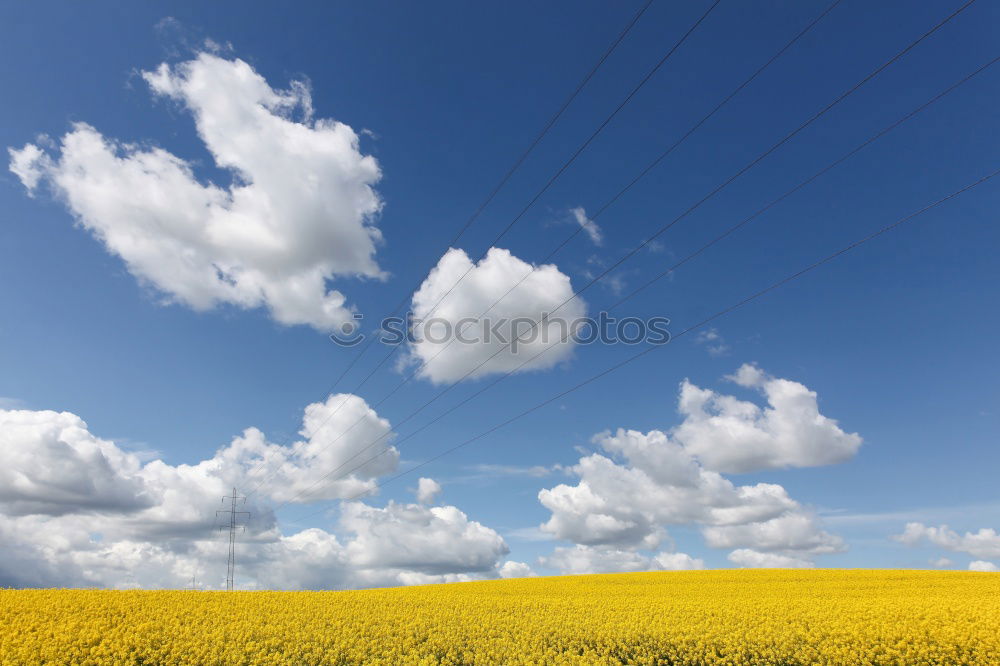 Similar – Weiß-blau-grün-gelb Umwelt