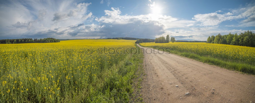 Similar – Image, Stock Photo overland route Environment