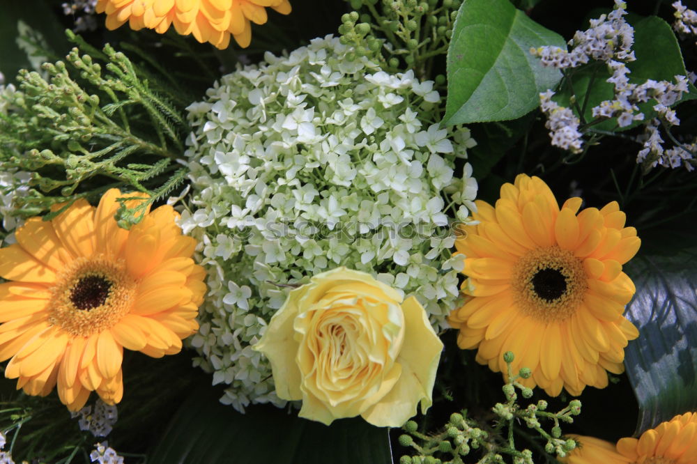 Similar – Image, Stock Photo Swabian bouquet of flowers