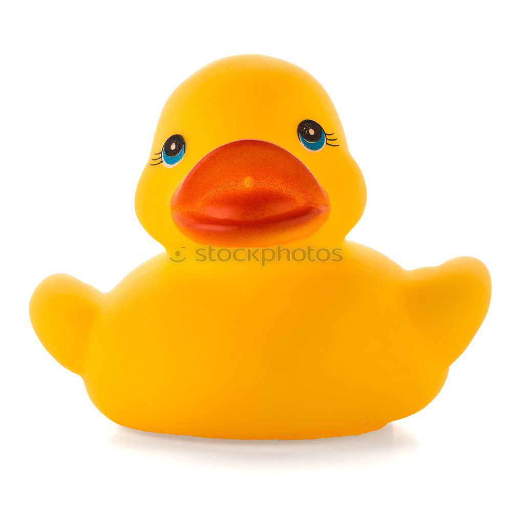 Similar – squeaky duck Squeak duck