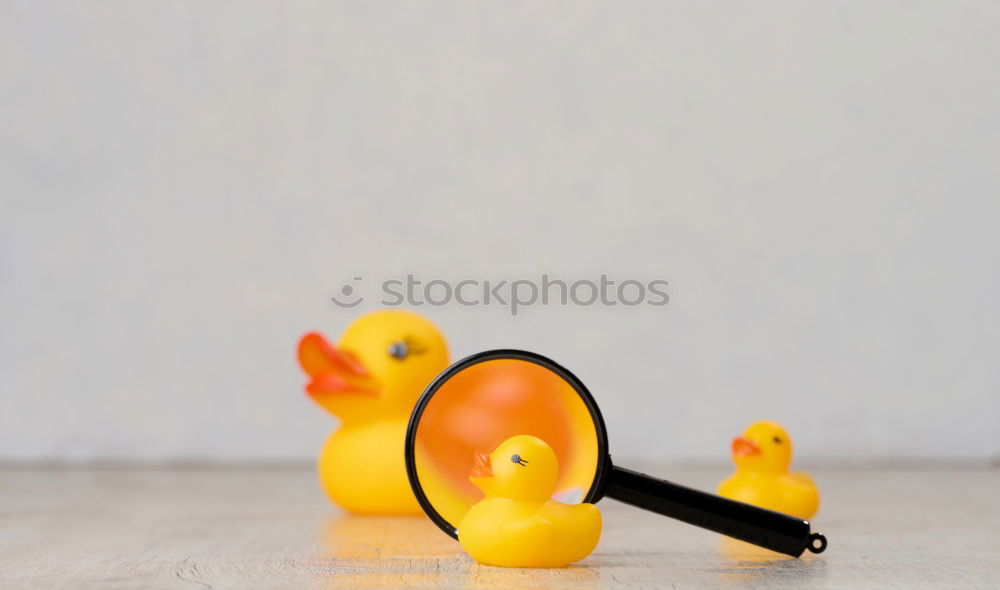 Similar – Image, Stock Photo found pacifier hangs visibly on an improvised fence made of rusty construction steel mats. Baby pacifier