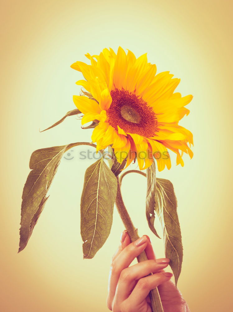 Similar – Feet in front of an analog camera and autumn leaves