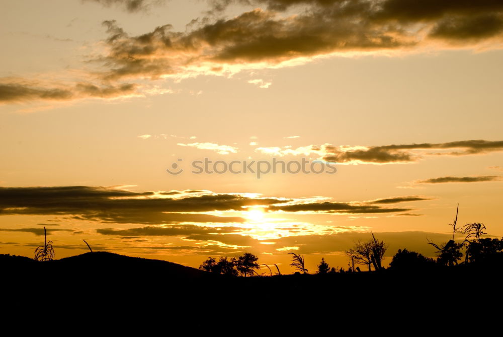 Similar – Image, Stock Photo red in the morning