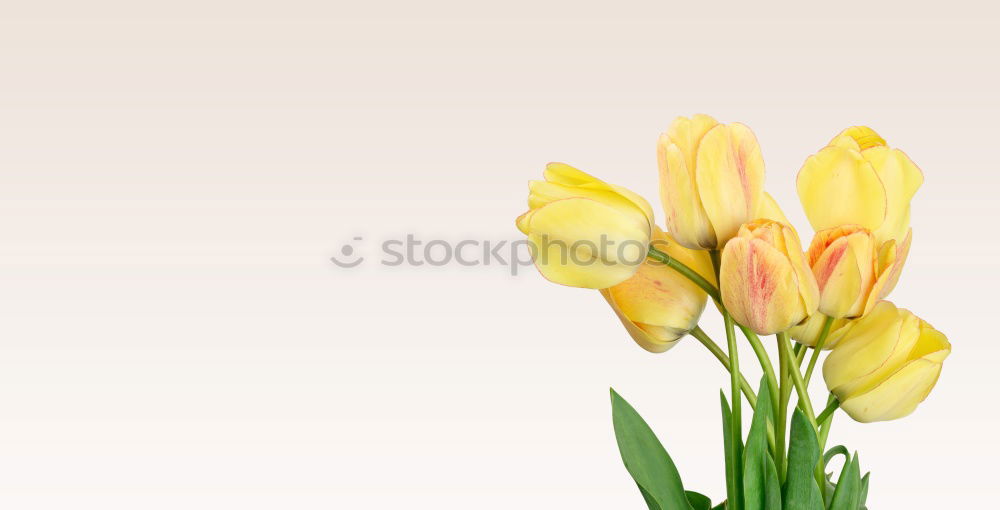 Similar – Image, Stock Photo row arrangement Plant