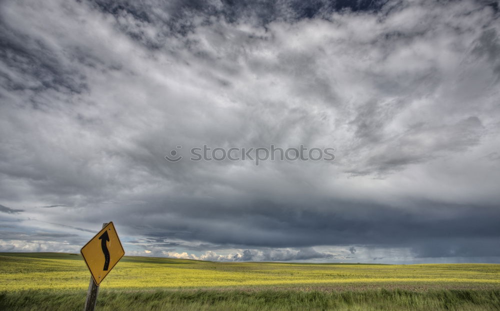 Similar – Image, Stock Photo Rainy afternoon Senses