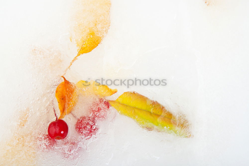 Similar – Image, Stock Photo Shock Frozen Food