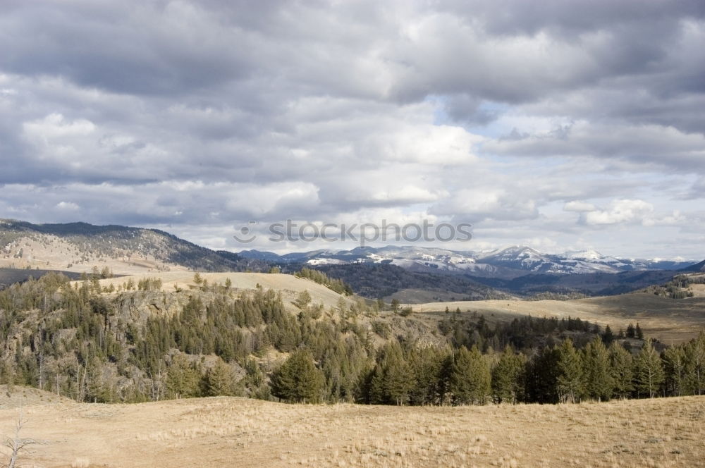 Similar – Image, Stock Photo cheerful to cloudy