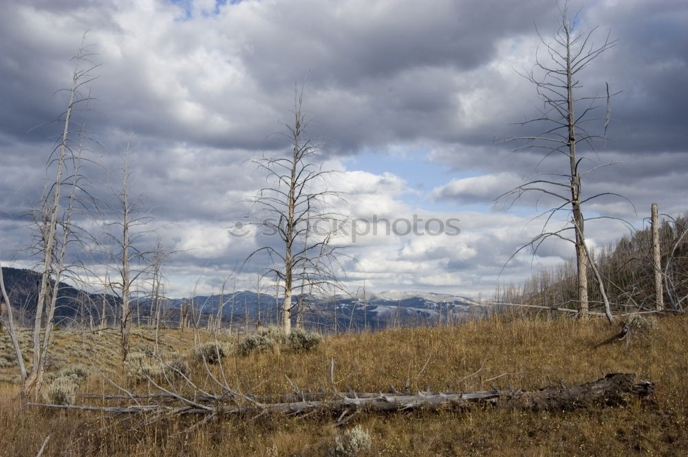 Similar – Western Colorado