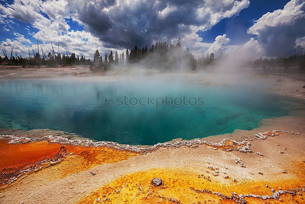 Similar – Image, Stock Photo Bacterial species