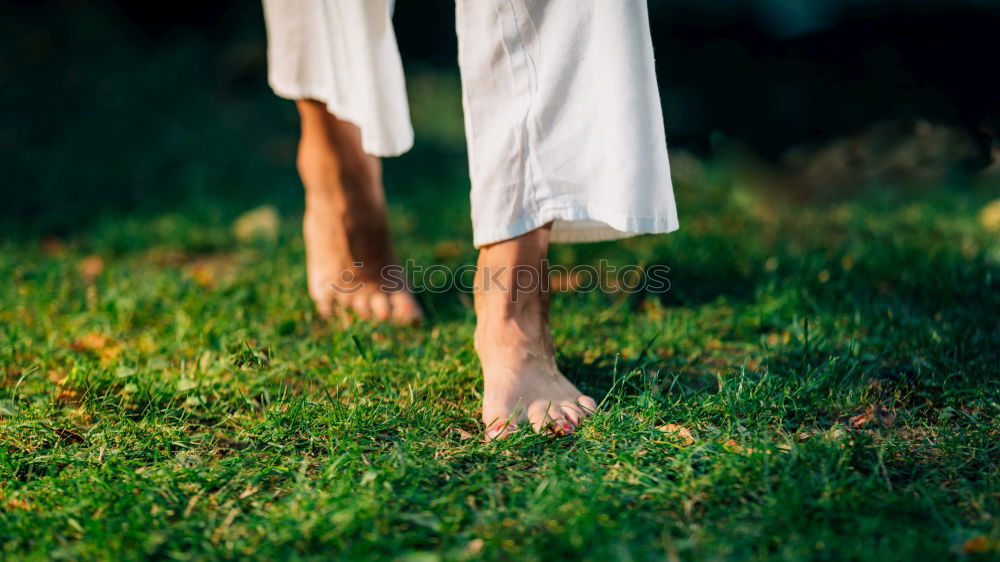 Similar – black-footed meadow Feet