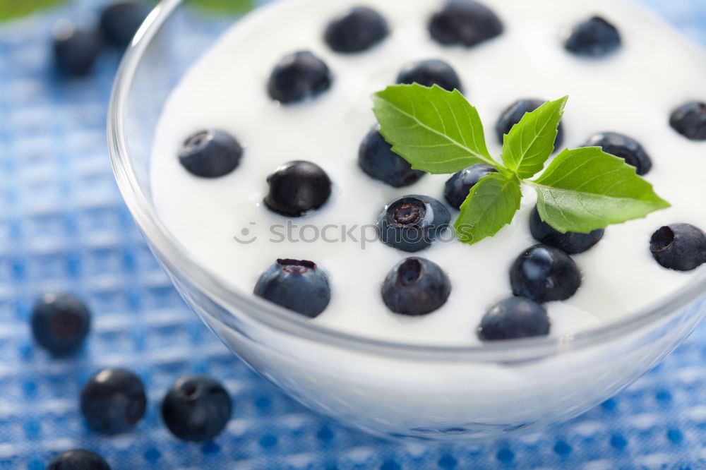 Similar – Blueberry smoothie or milkshake in a jar