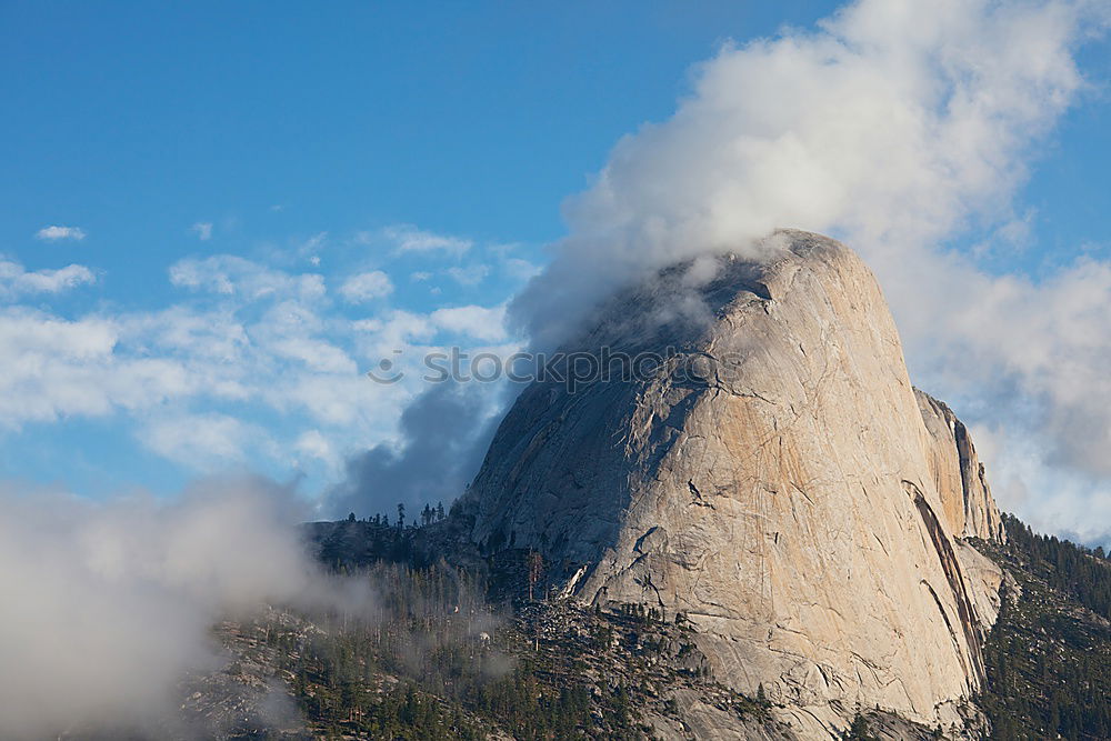 Similar – Image, Stock Photo Better half