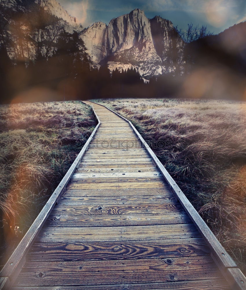 Similar – Image, Stock Photo Stairway to heaven