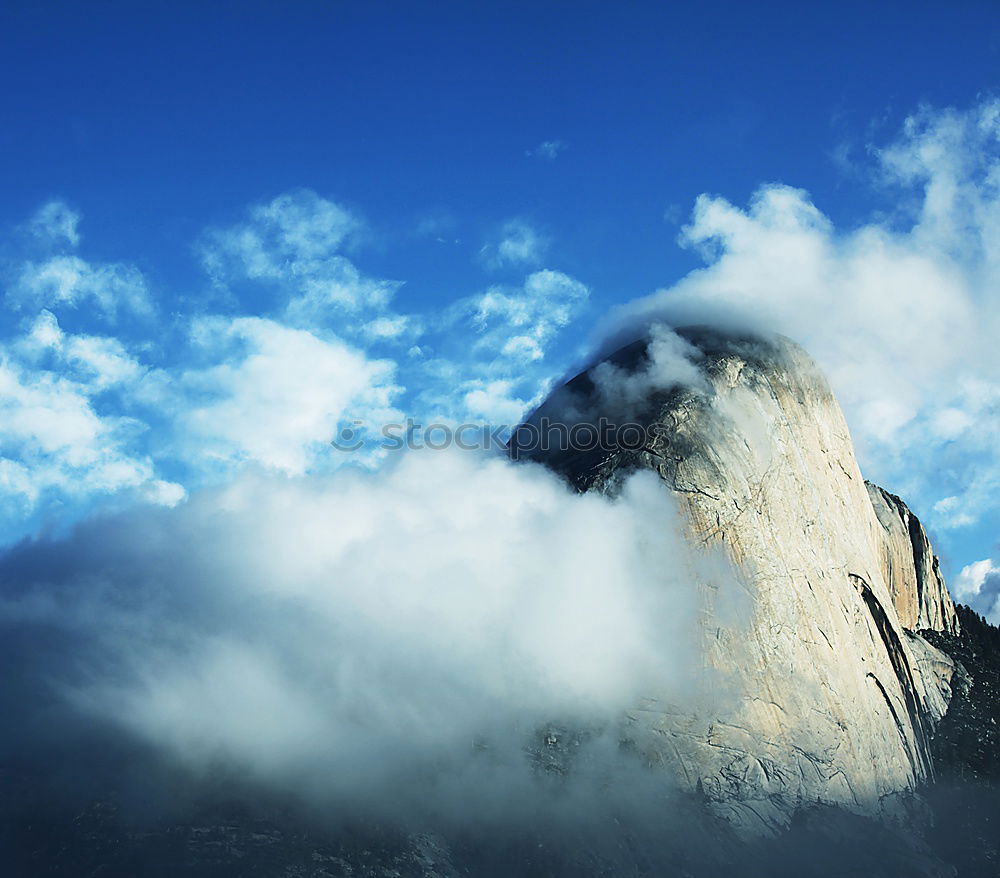 Similar – Image, Stock Photo Monkey sits on rocks of Gibraltar