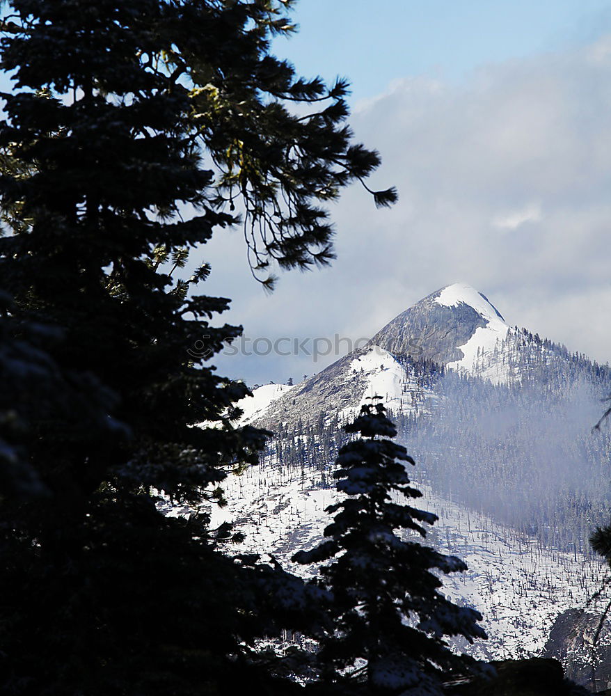 Similar – Foto Bild Innsbruck Umwelt Natur