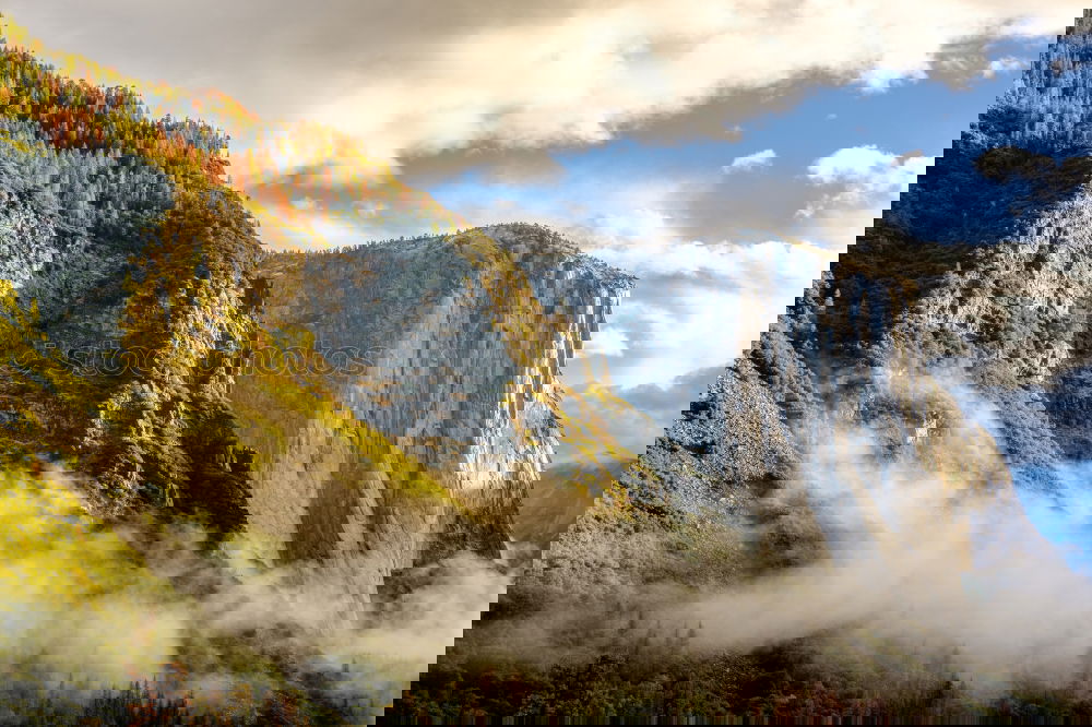 Similar – Image, Stock Photo washed out