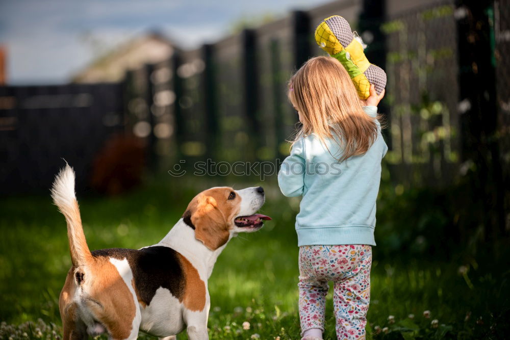 Similar – boy hugging his dog