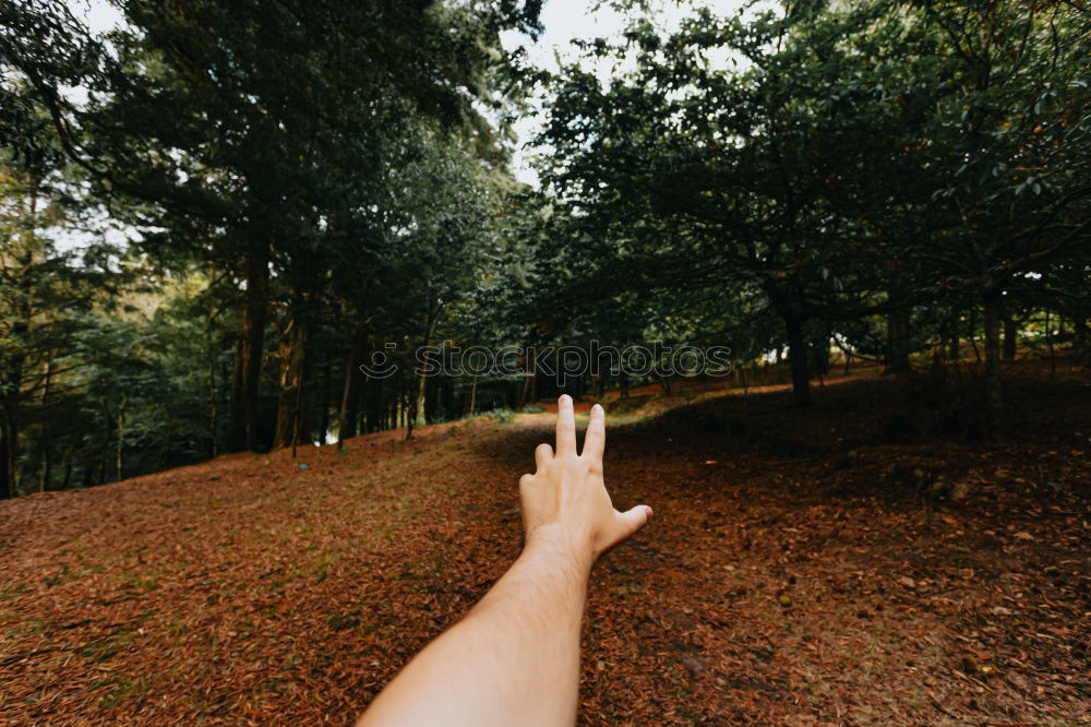 Similar – Woman hanging out of car in forest