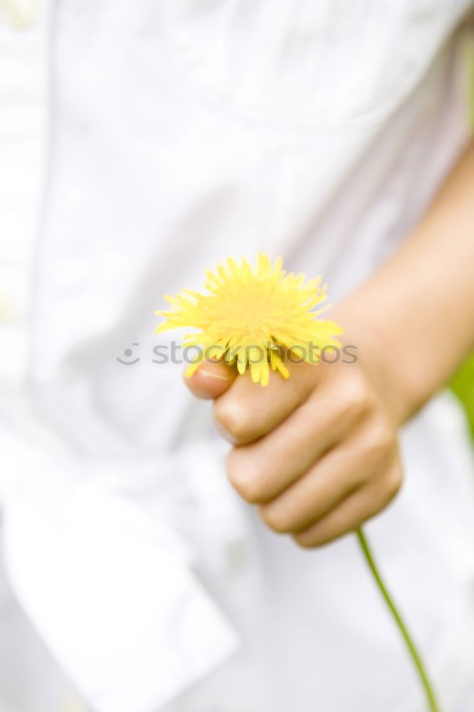 Similar – Image, Stock Photo Binding a bouquet of garden flowers