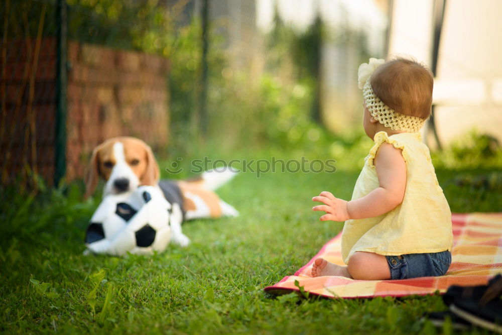 Similar – Image, Stock Photo your.heart.is.the.size.of.a.fist.