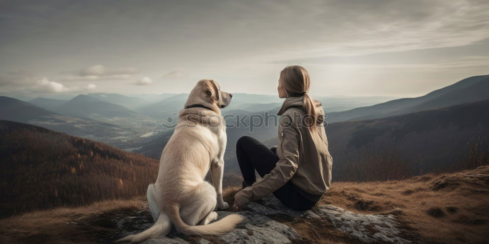 Similar – Beautiful little girl and her dog playing at sunset together