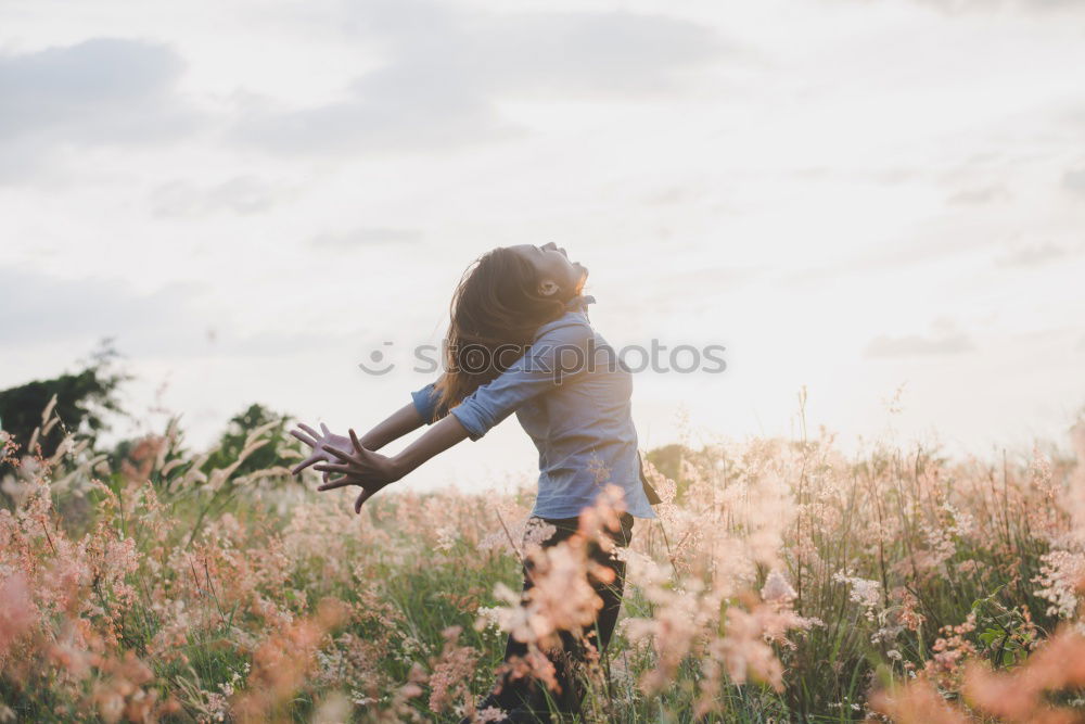 Similar – Yellow field.Beautiful Nature Sunset Landscape. Rural Scenery