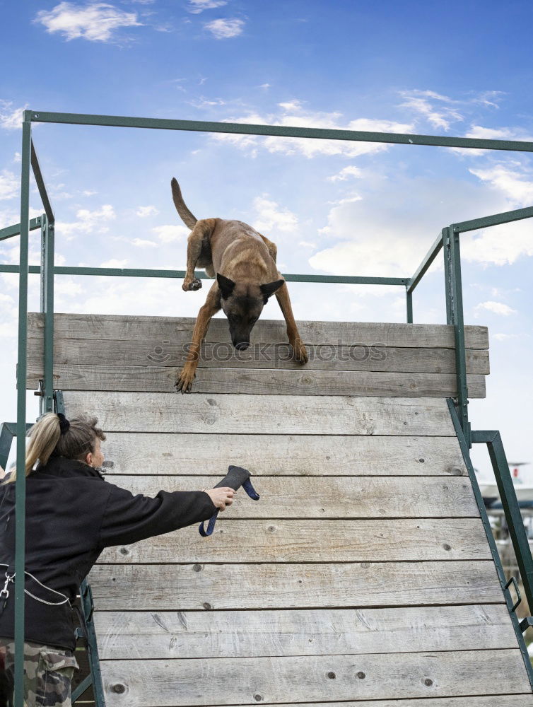 Similar – Image, Stock Photo Man slip on ice and falling down stairs