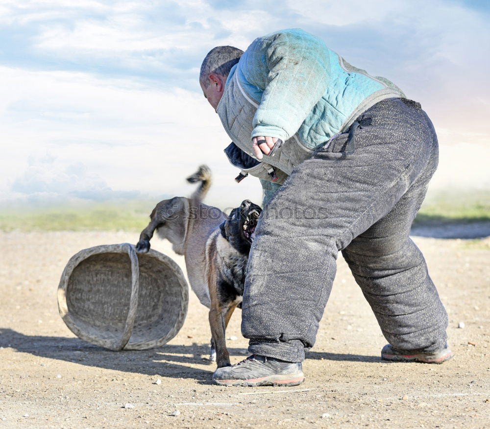 Similar – Image, Stock Photo Scratch out horse hooves