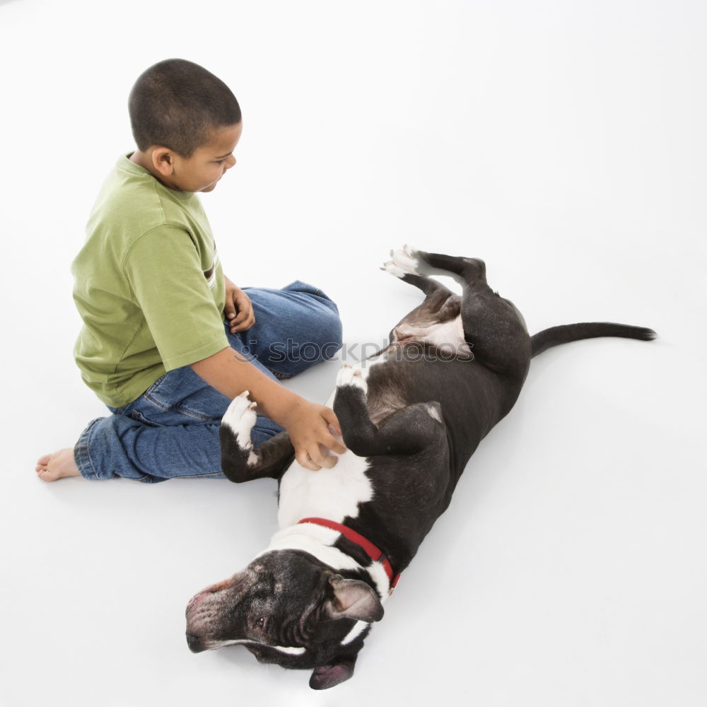 Image, Stock Photo Boston Terrier and boy