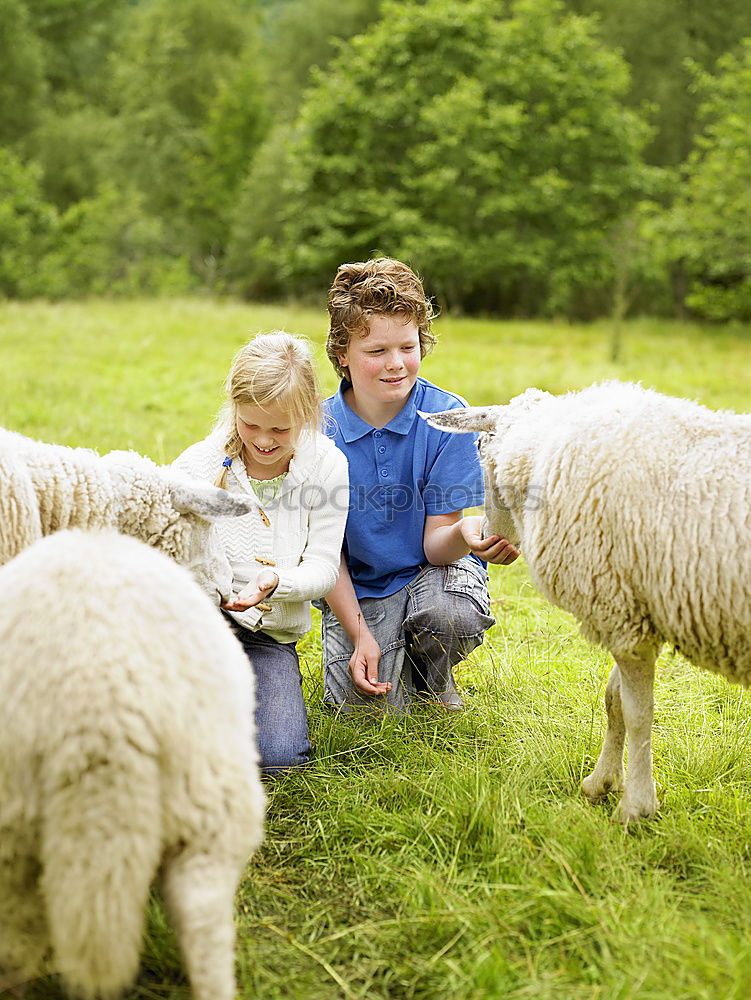 Similar – Image, Stock Photo Little girl looking a goat on the grass