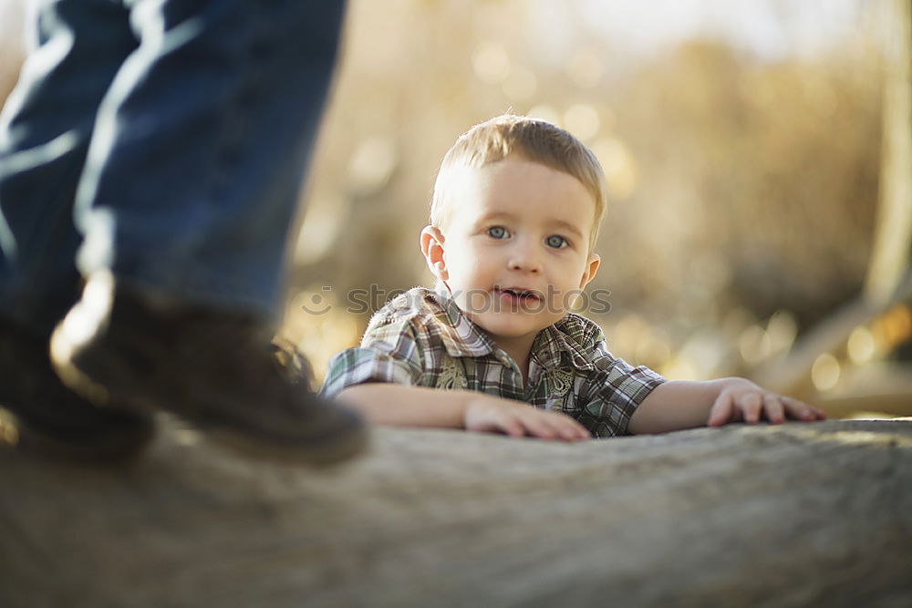 Similar – Black father feeds his son a kiwi