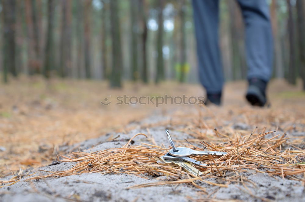 Similar – Foto Bild the storm Garten Frau
