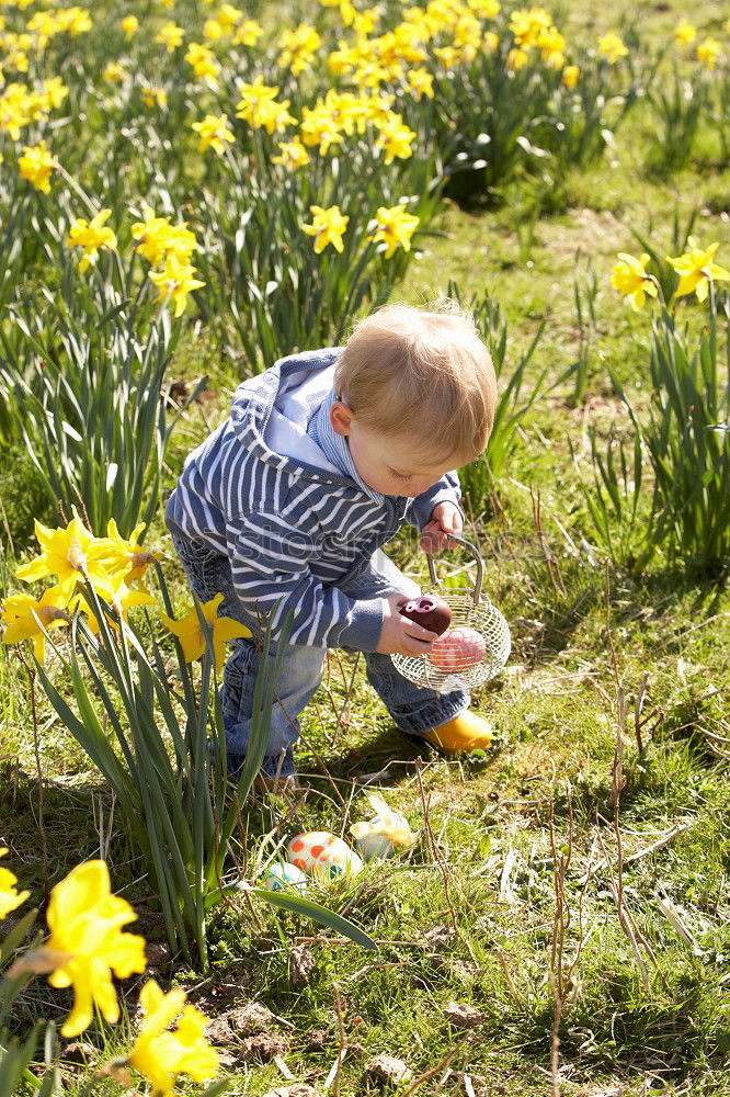 Similar – Image, Stock Photo water flowers Easter Child