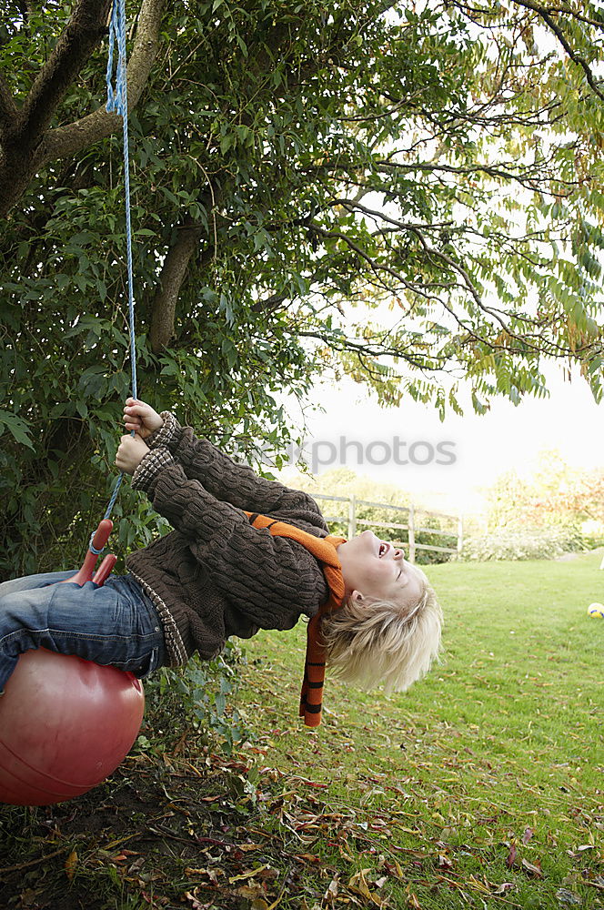 Young tree wanderer (II)