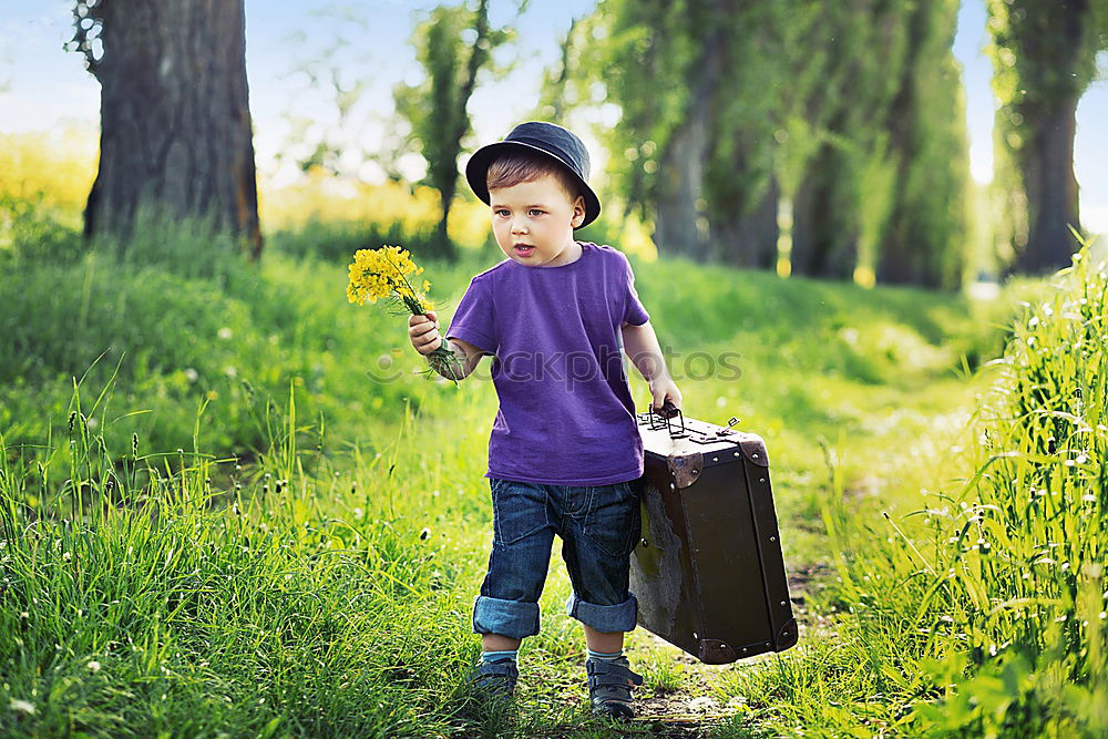 Similar – happy child boy catching butterflies