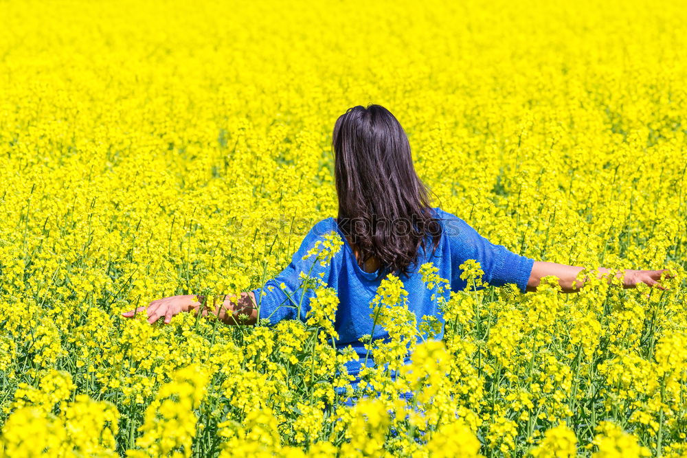 Similar – Foto Bild Rapsmonster Leben Sommer