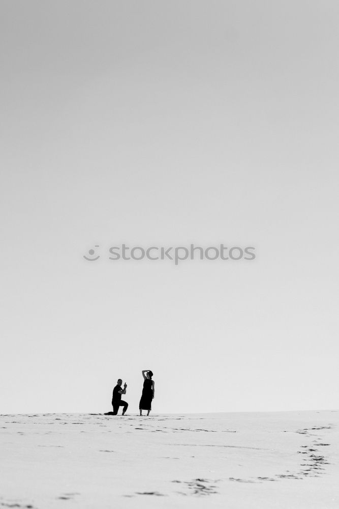 Similar – Image, Stock Photo promenade mix Dog Street