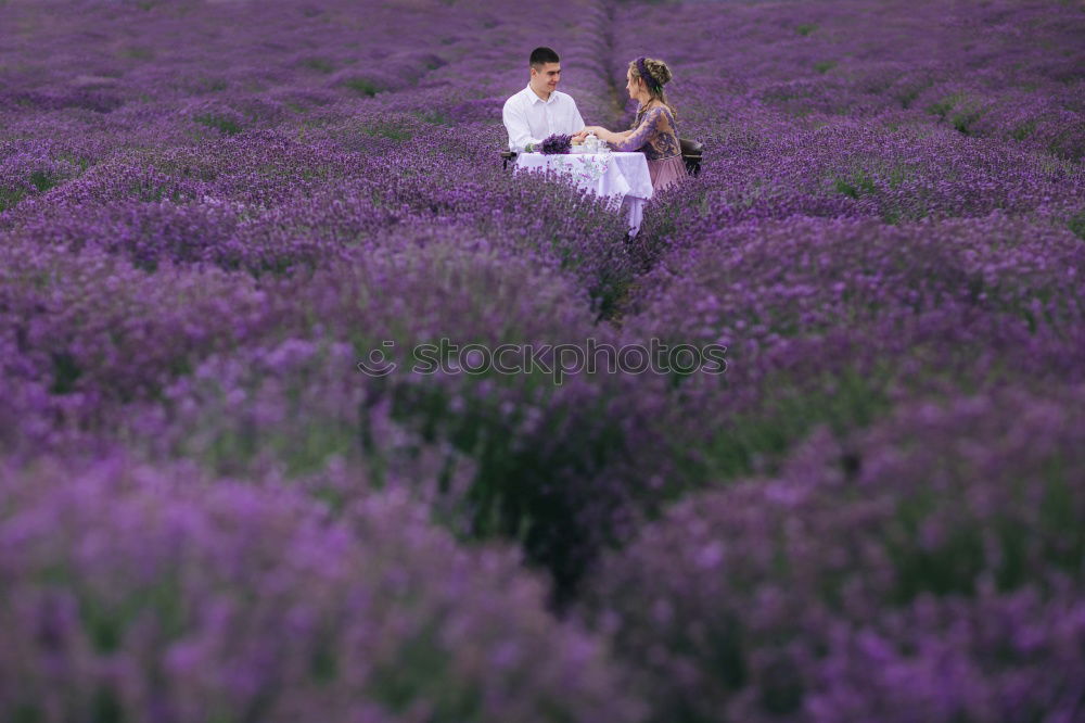 Similar – Image, Stock Photo #A# Lavender picker