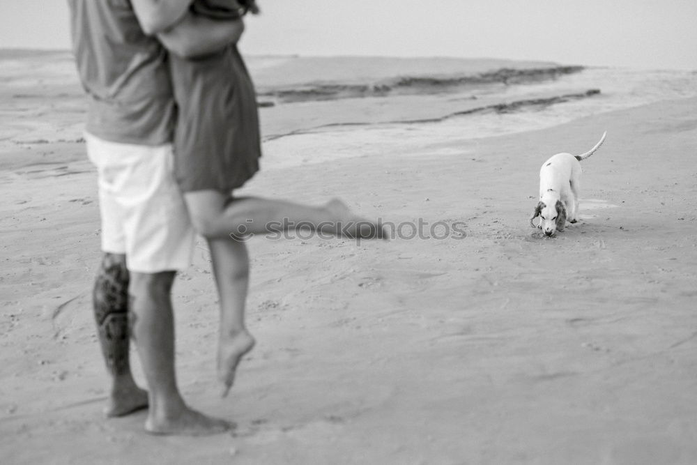 Similar – With dogs on the beach