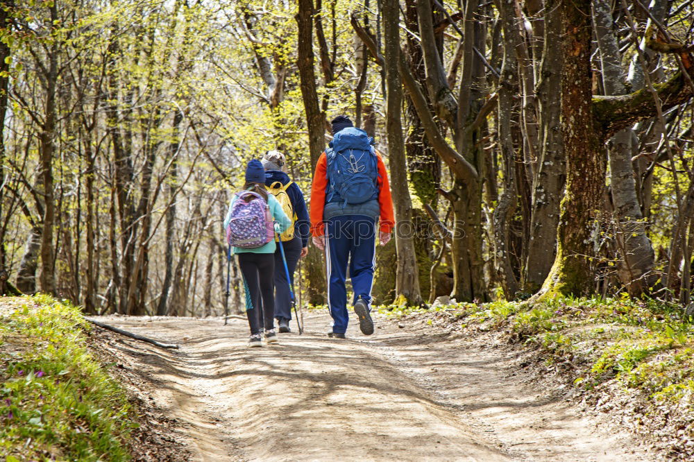 Similar – Boy and girl wandering in a forest on summer day