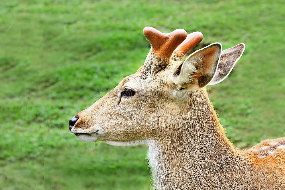 Similar – Image, Stock Photo back Environment Nature