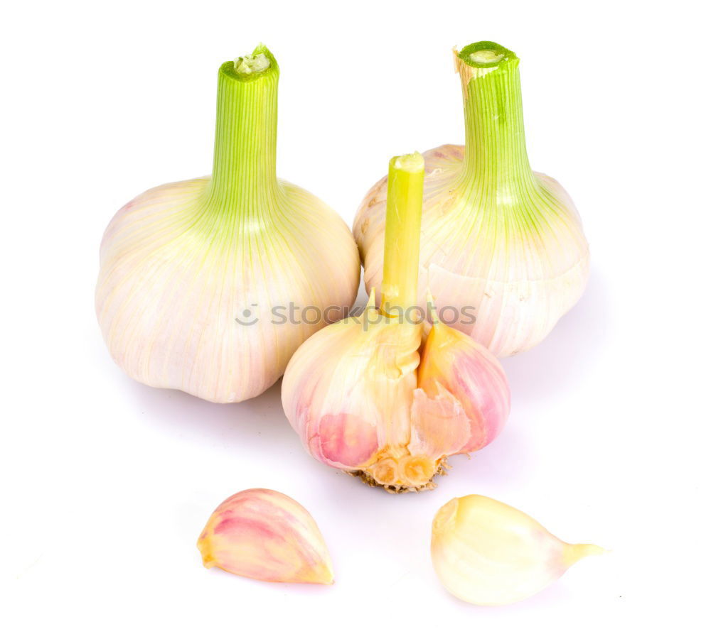 Similar – Knoblauch Lebensmittel