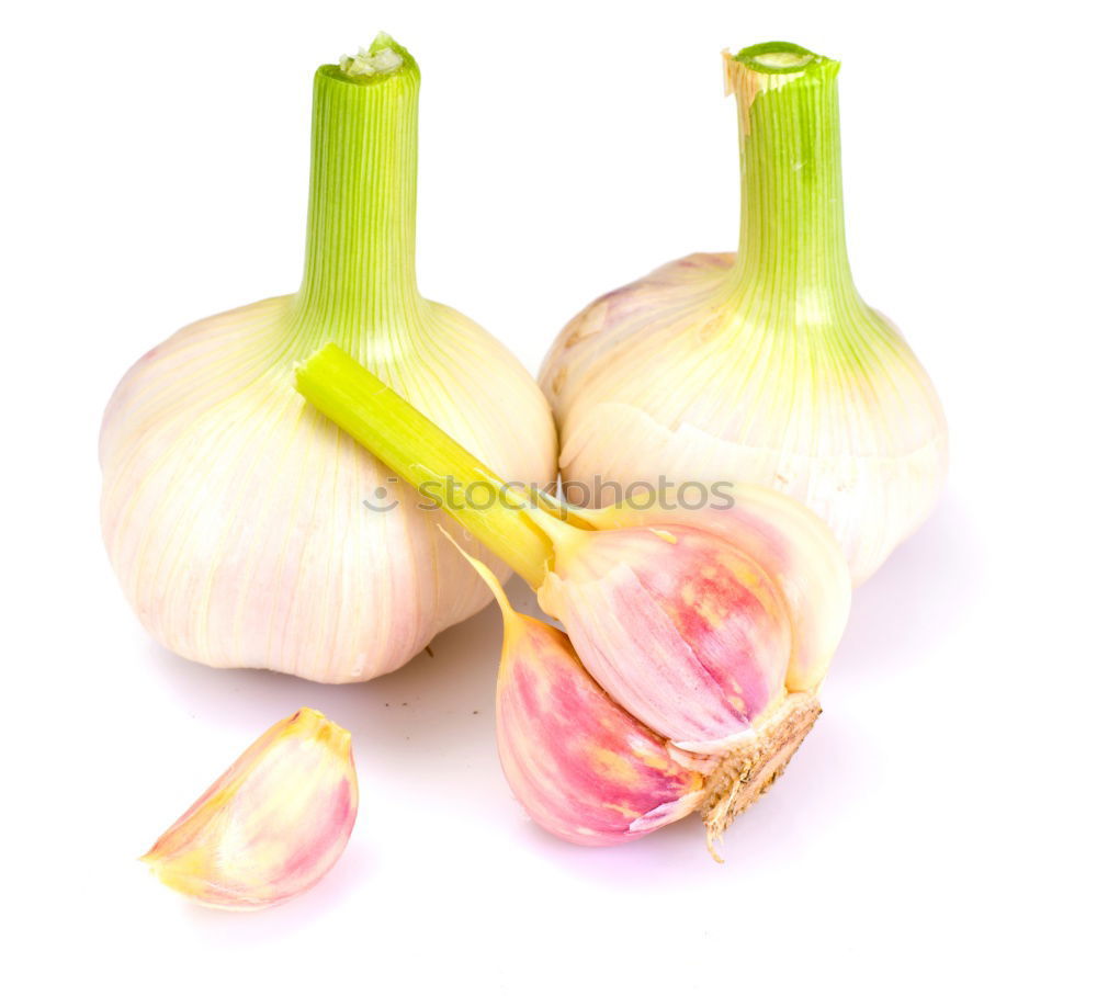 Similar – Knoblauch Lebensmittel